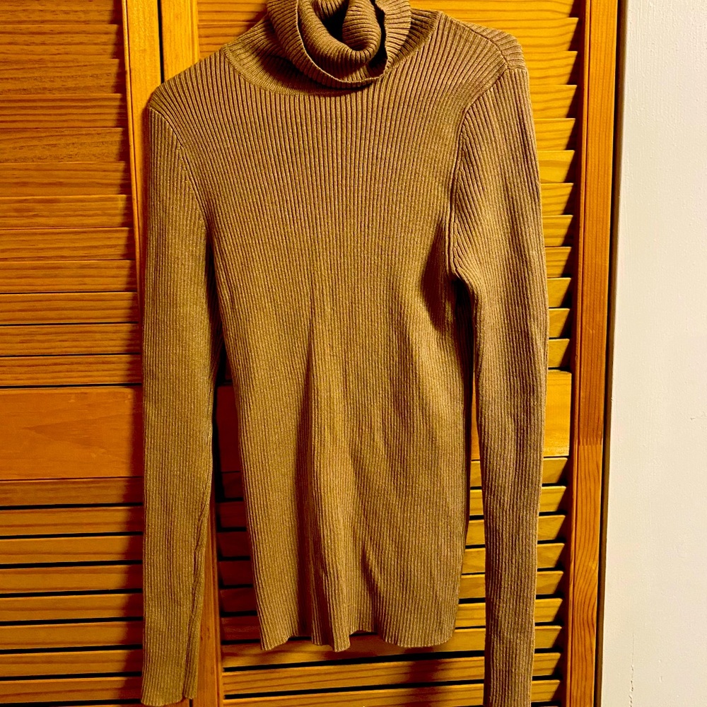 Ambiance Turtleneck